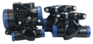 Grooved Check Valves
