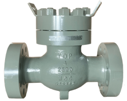 Piston Check Valves